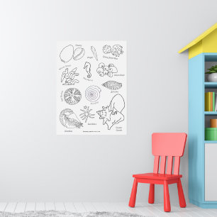 Poster Vida Marinha Desenhada à Mão Preto e Branco