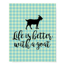 Vida melhor com Xadrez azul de cabra