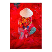 Vida Natural do Vietnã