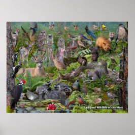 Poster Vida no Mundo do Oeste