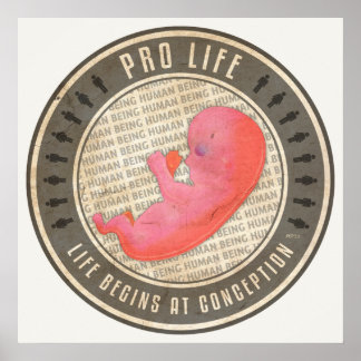 Pôster Vida profissional