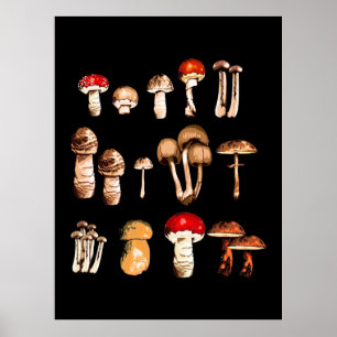 Poster Vida Seletor do Cogumelo