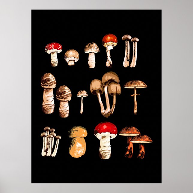 Poster Vida Seletor do Cogumelo (Frente)