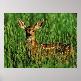 Pôster Vida selvagem 11 esbarrada