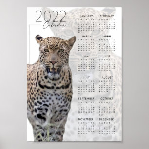 Poster Vida selvagem de Leopard 2022 Calendário