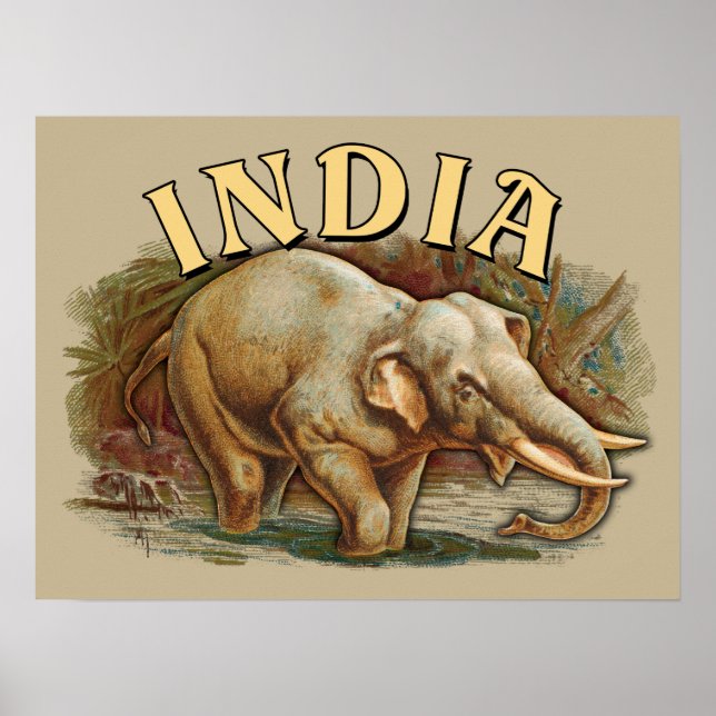 Poster Vida Selvagem Índia - Elefante Indiano (Frente)