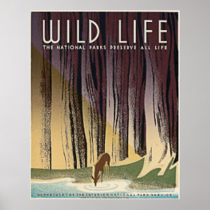 Pôster Vida Selvagem - Os Parques Nacionais preservam tod
