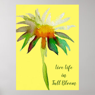 Poster Vida viva na flor do amarelo da margarida das