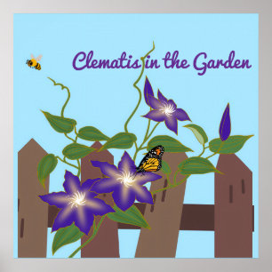 Poster Videira Clematis no Jardim 