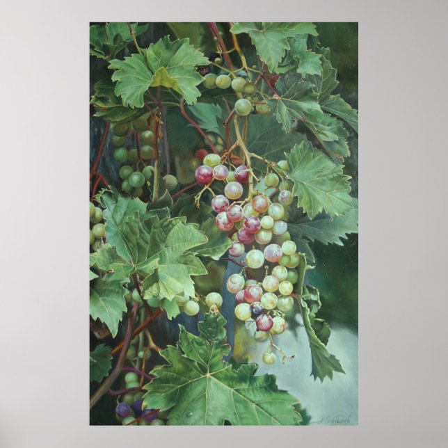 Poster Videira Realista com Folhas – Arte Fina (Frente)