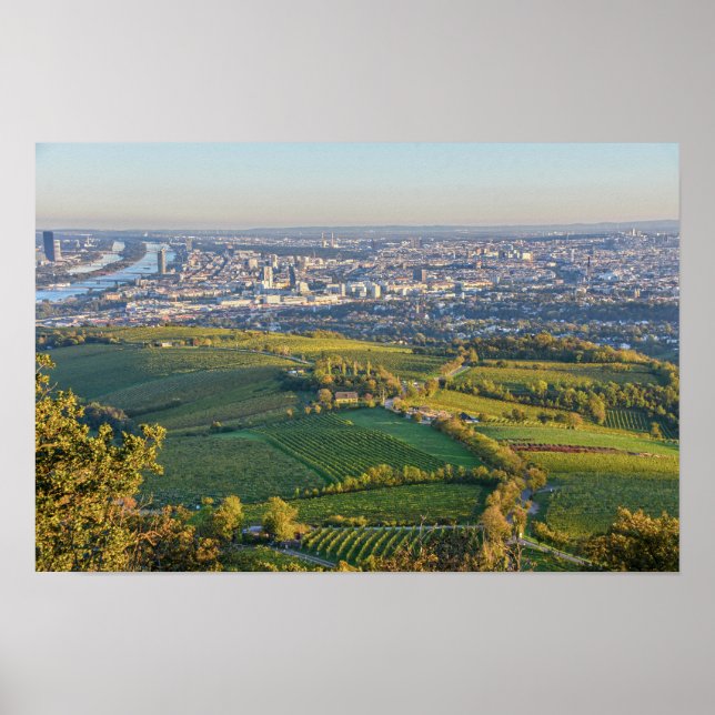 Poster Viena, Áustria, Panorama do Kahlenberg (Frente)
