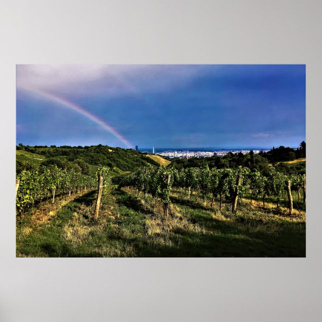 Poster Viena Vineyard Rainbow (Frente)