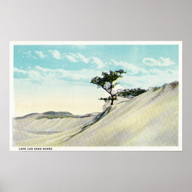 Pôster View of the Dorothy Bradford Steamer (Frente)