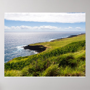 Poster vigia haleokane e oceano pacífico