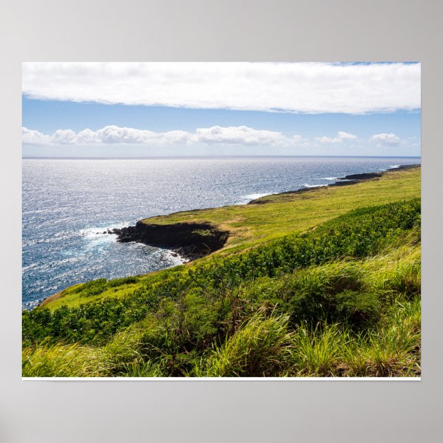 Poster vigia haleokane e oceano pacífico (Frente)