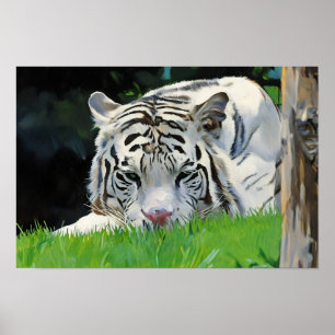 Poster Vigia na grama - Retrato do Tigre Branco