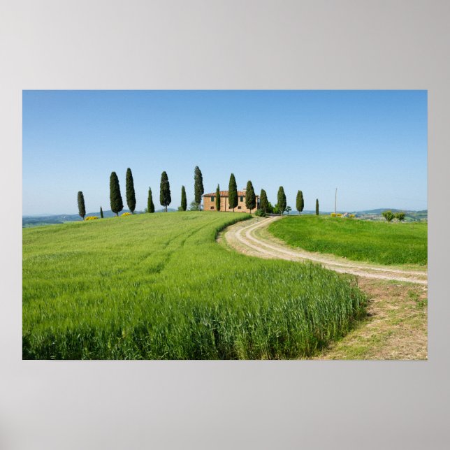 Poster Vila de fazenda com ciprestes na Toscana (Frente)