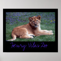 Vilas Zoo Cub