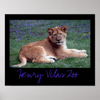 Pôster Vilas Zoo Cub