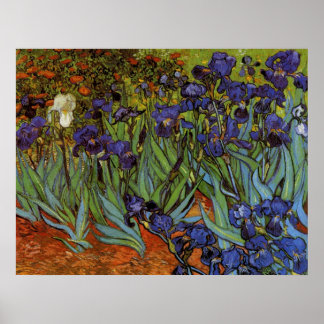 Poster Vincent van Gogh 31