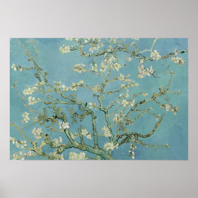 Poster Vincent van Gogh - Almond Blossom (Frente)