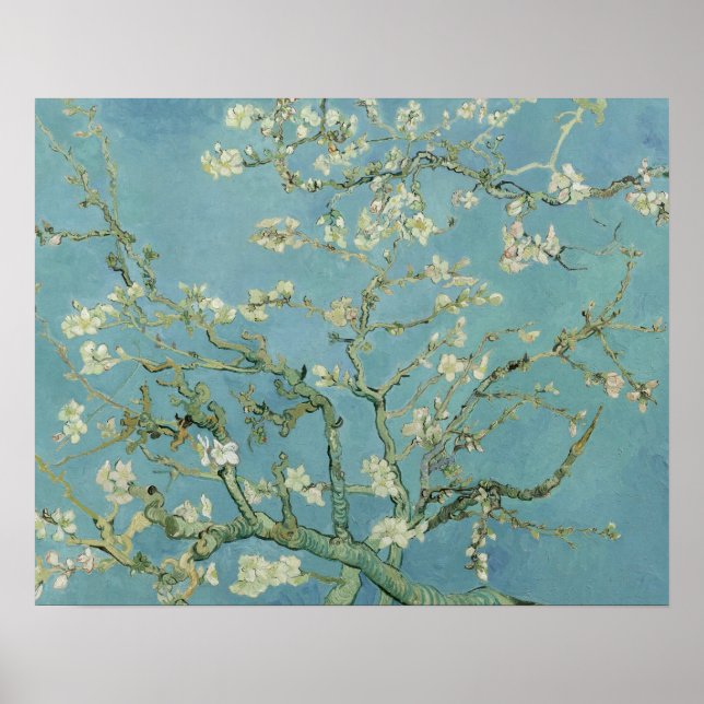 Pôster Vincent van Gogh - Almond Blossom (Frente)