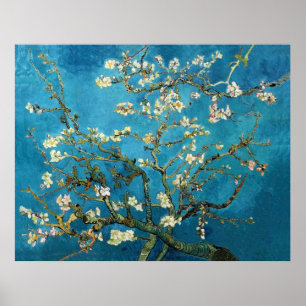 Poster Vincent van Gogh, Almond Tree florescente