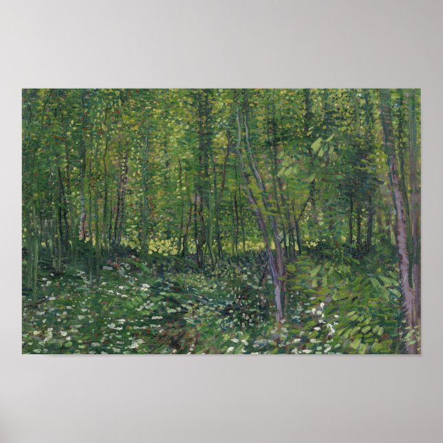 Pôster Vincent van Gogh - Árvores e Subcrescimento (Frente)