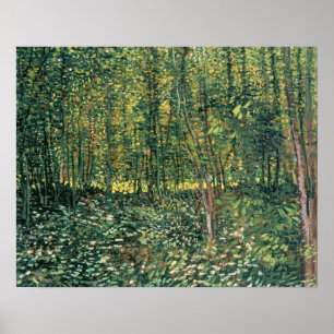 Poster Vincent van Gogh   Árvores e Subcrescimento, 1887