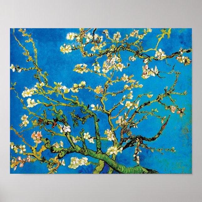 Poster Vincent Van Gogh - Blossoming Almond Tree Fine Art (Frente)