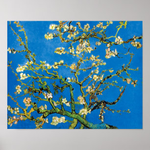 Poster Vincent Van Gogh - Blossoming Almond Tree Fine Art