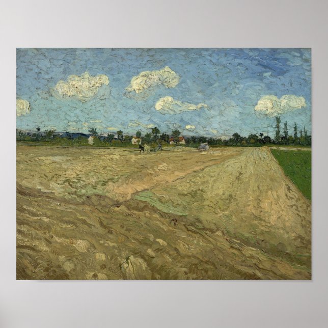 Poster Vincent van Gogh - Campos arados   (Frente)