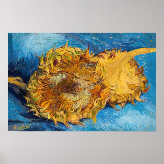 Poster Vincent van Gogh - Dois Girassóis Cortados (Frente)