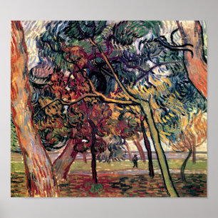 Pôster Vincent Van Gogh - Estudo de Pinheiros Arte Fina