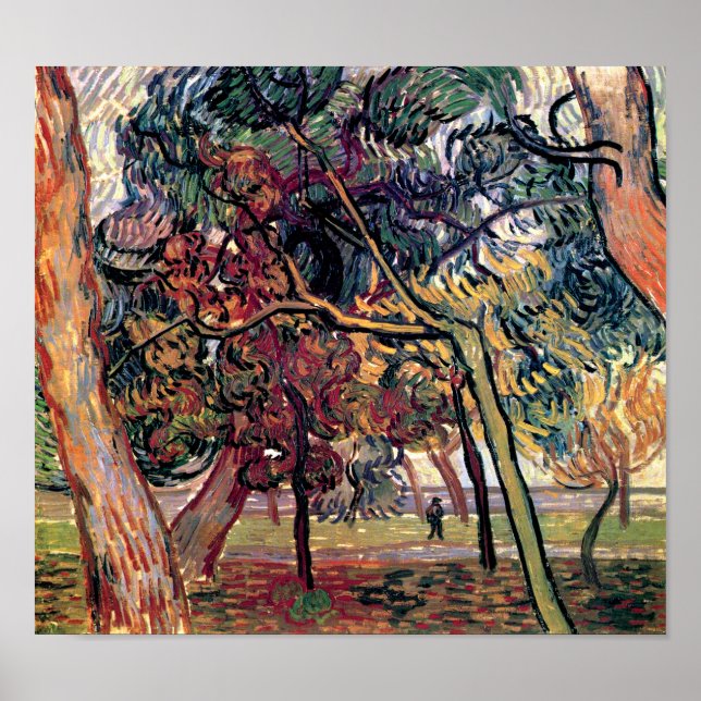 Pôster Vincent Van Gogh - Estudo de Pinheiros Arte Fina (Frente)