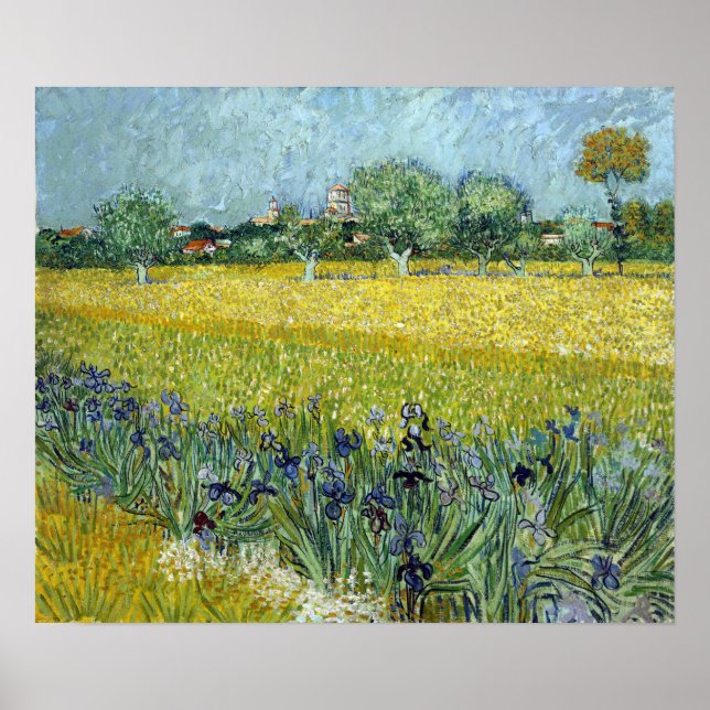 Poster Vincent van Gogh Field of Flowers perto de Arles (Frente)