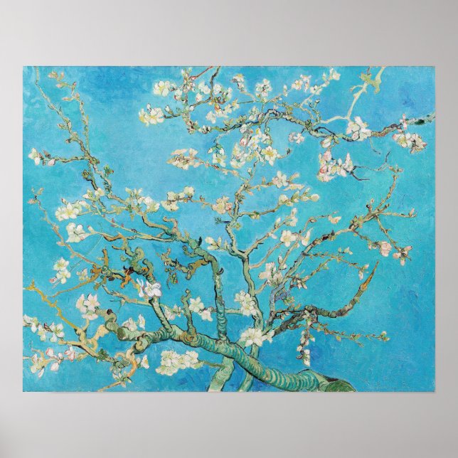 Poster Vincent van Gogh - Flor de Amendoeira (Frente)