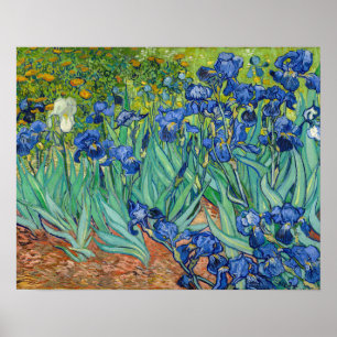 Poster Vincent Van Gogh - Íris