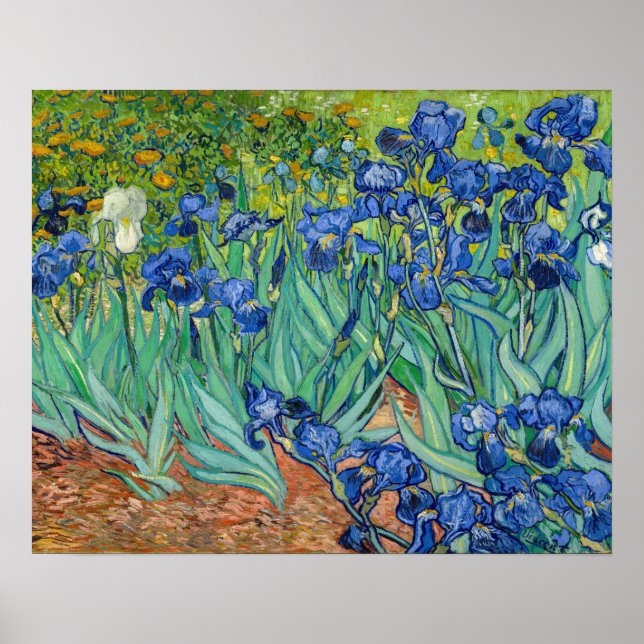 Poster Vincent Van Gogh - Íris (Frente)