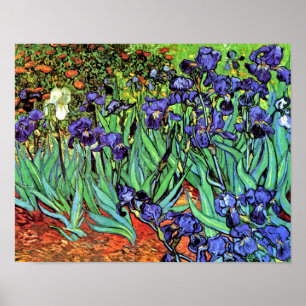 Poster Vincent Van Gogh - Íris - Amante de Flores Arte Fi