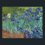 Poster Vincent Van Gogh Irises<br><div class="desc">Contemplem a beleza impressionante dos 'irrises' de Vincent Van Gogh. Essa obra-prima captura a essência da tranquilidade e harmonia com suas cores vibrantes e pinceladas delicadas. Cada pétala parece dançar na brisa suave, convidando os espectadores para um mundo de serenidade e maravilha. Esta pintura icônica é um testemunho do talento...</div>