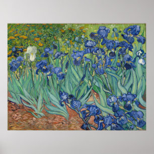 Poster Vincent Van Gogh Irises
