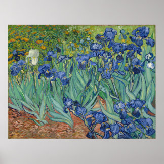 Poster Vincent Van Gogh Irises