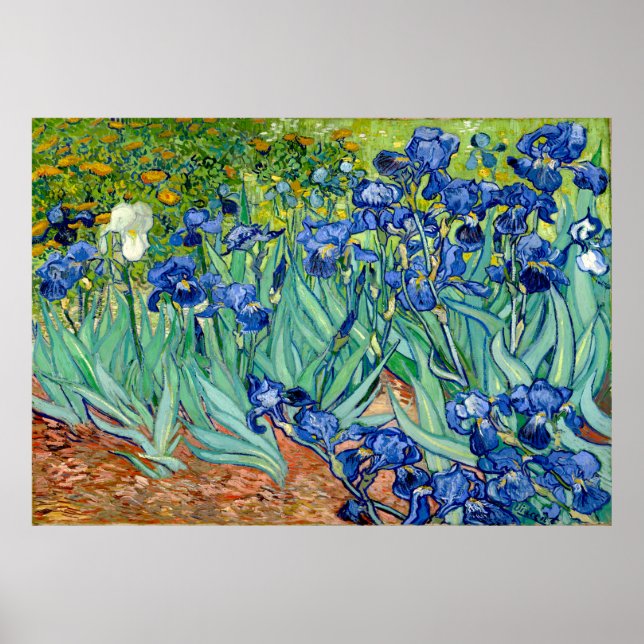 Poster Vincent van Gogh - Irrises - Famosa Arte (Frente)