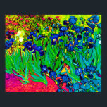 Pôster Vincent Van Gogh - Irrisos - Pop de Arte do Flower<br><div class="desc">Petróleo na canvas de 1889 mostrando belos irrisões roxos que Van Gogh pintou enquanto permanecia no asilo no Santo Paul-de-Mausole em Santo-Remy, França. Enquanto muitas versões dessa pintura mostram as flores como azuis, cientistas estudando os irlandeses em uma das pinturas posteriores de Van Gogh descobriram que as flores eram, na...</div>