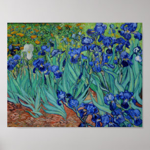 Poster Vincent Van Gogh Irrita As Belas Artes De Flor Vib