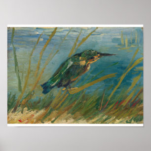 Poster Vincent Van Gogh - Kingfisher por Waterside