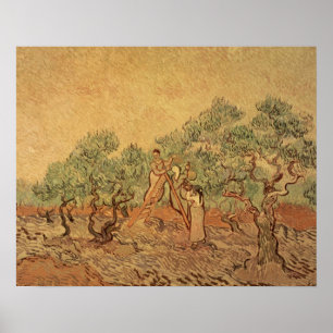 Pôster Vincent van Gogh O olival, 1889