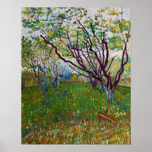 Poster Vincent van Gogh - O Pomar Florido