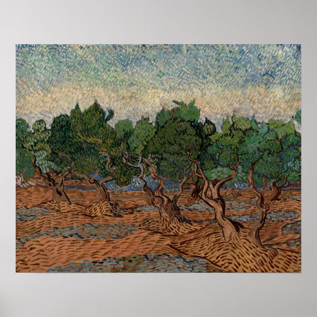 Poster Vincent van Gogh - Olival (Frente)